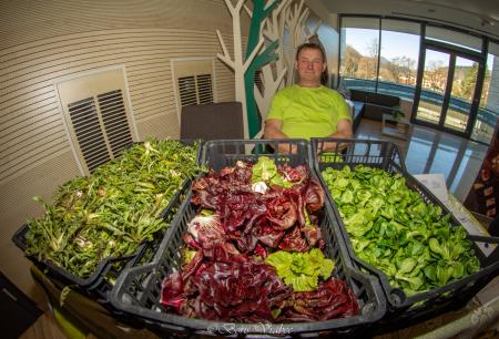 BORZA LOKALNIH ŽIVIL_2025 (96)